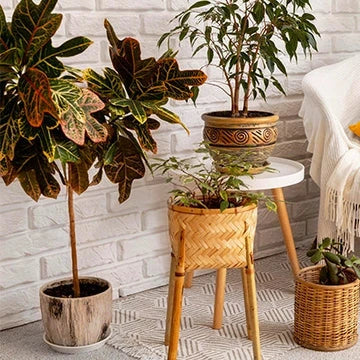 home decor
